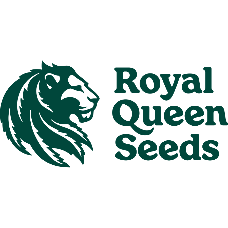 RoyalQueenSeeds_900